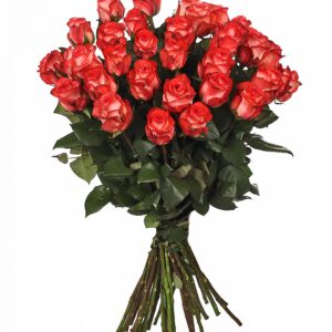 roza Bukiet ,,Klasyczna Róża"