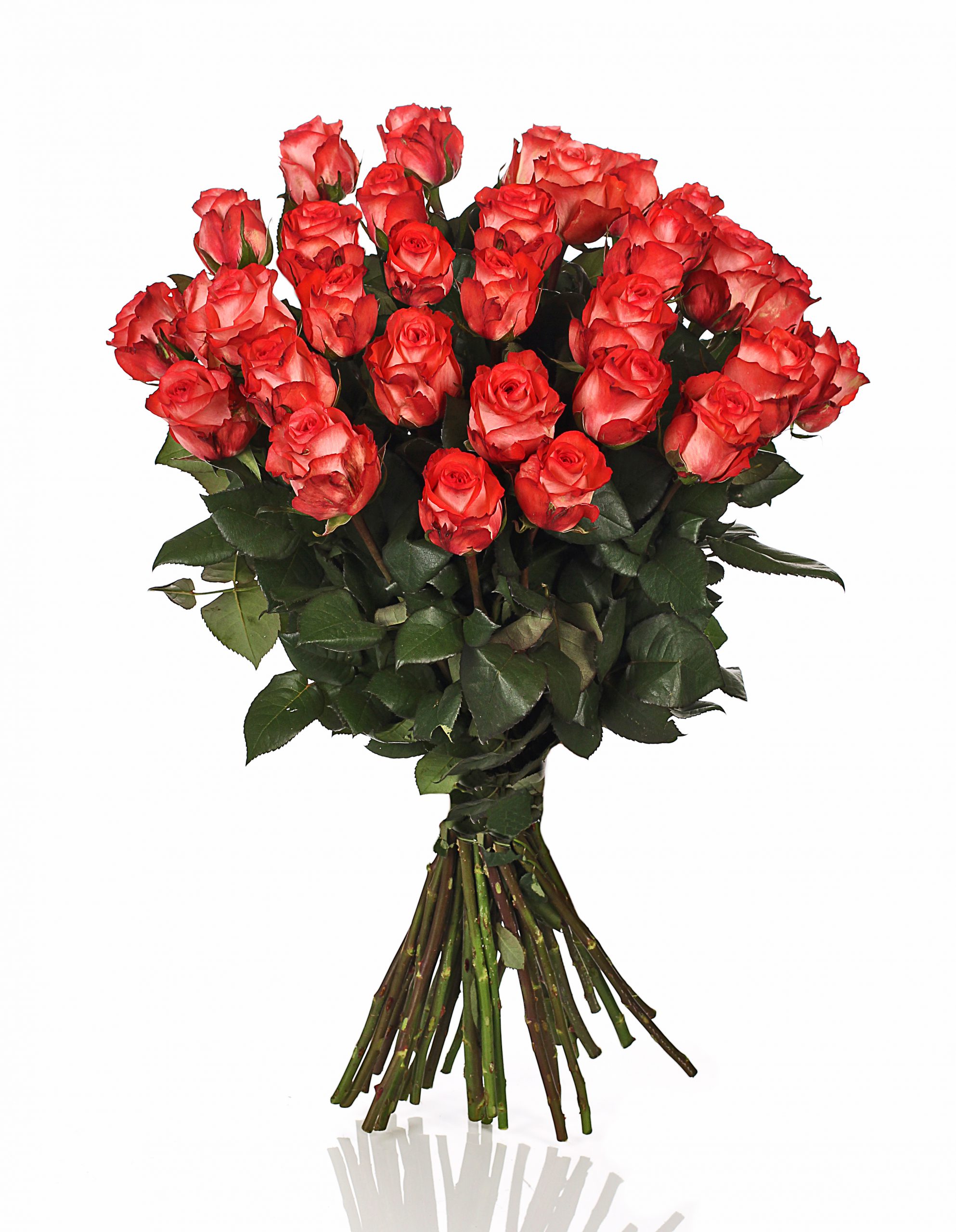 Bukiet ,,Klasyczna Róża"